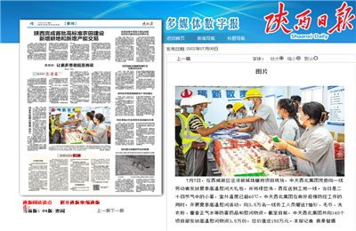 BBIN宝盈西北集团珑樾府项目高温慰问——《陕西日报》